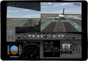 Pilot debriefing with flight data animation