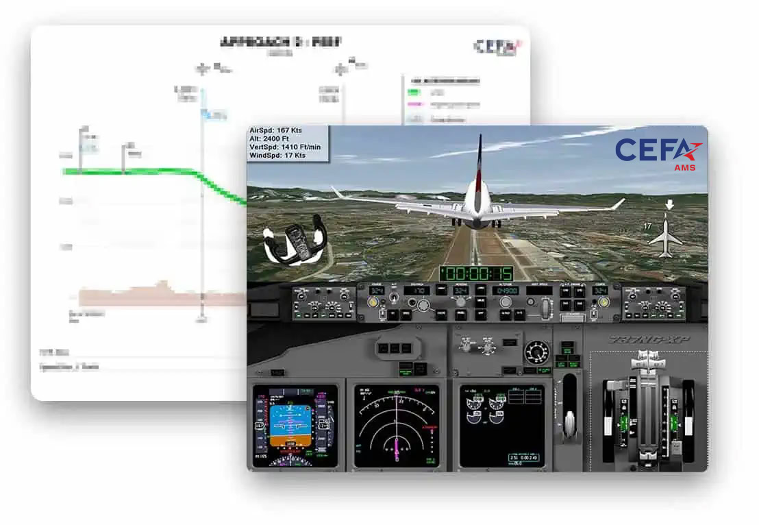 CEFA-AMS-Cascade