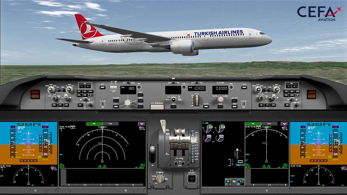 Flight Data Animation 